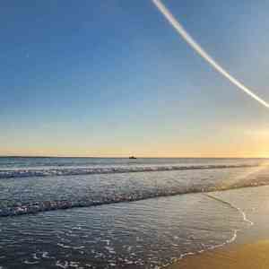 Meet your Posher, Tyra